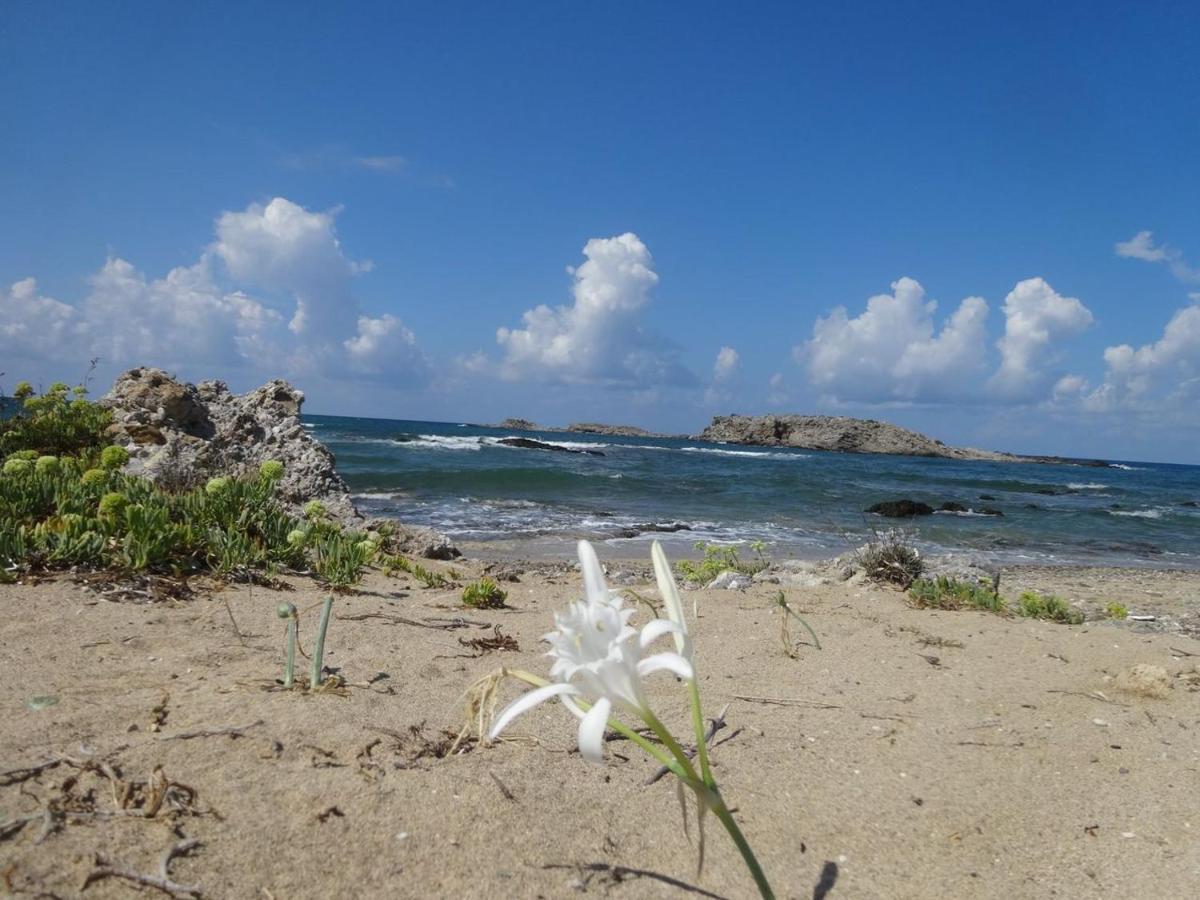 Julies Apartments Kokkini Hani المظهر الخارجي الصورة
